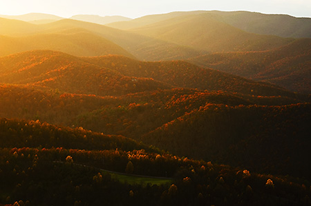 Last Fall Light from the Blue Ridge Parkway, VA